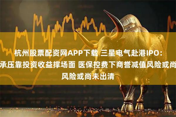 杭州股票配资网APP下载 三星电气赴港IPO：双主业承压靠投资收益撑场面 医保控费下商誉减值风险或尚未出清